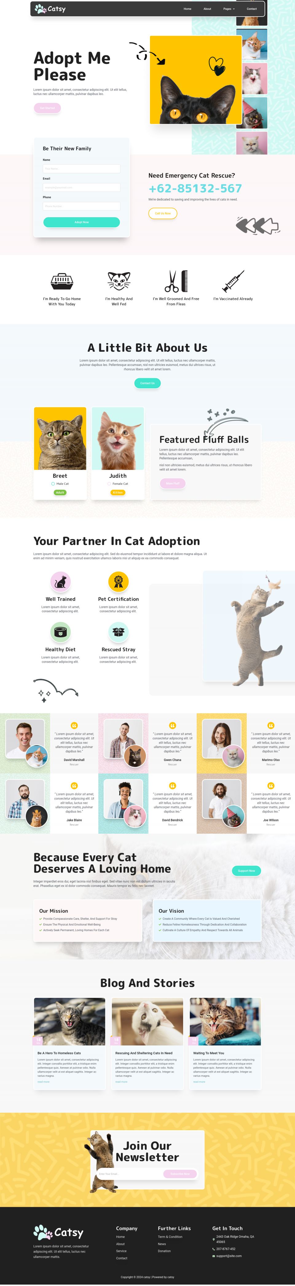 WordPress template ThemeForest Catsy