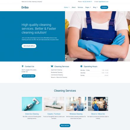 ThemeForest Dribo