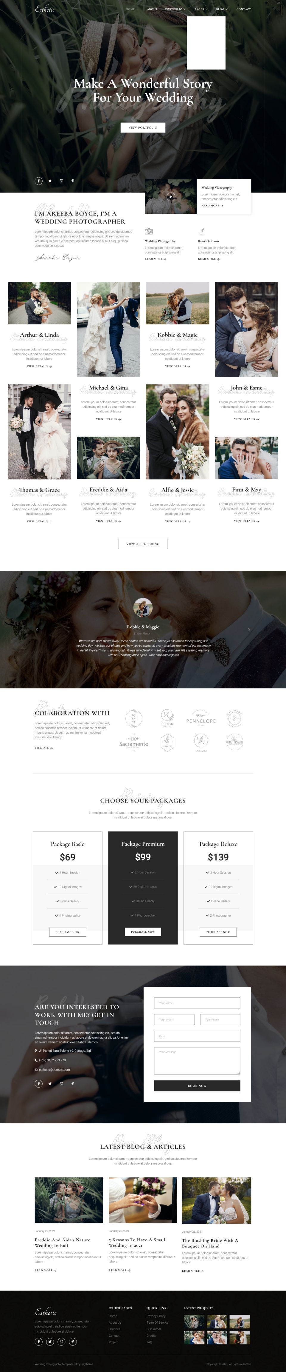 WordPress template ThemeForest Esthetic