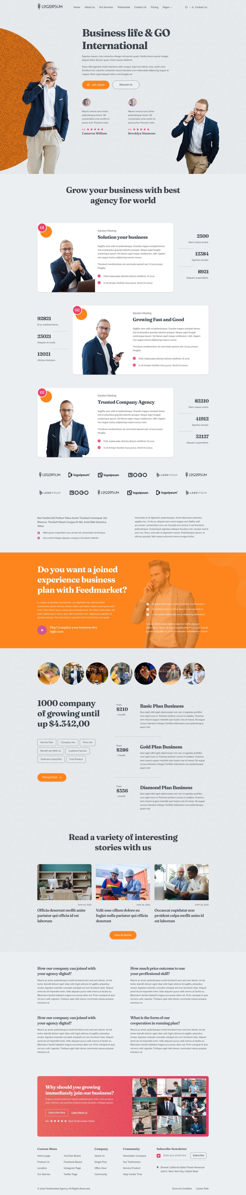 WordPress template ThemeForest Feedmarket