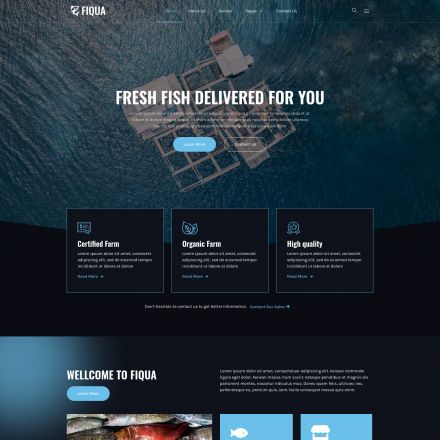 ThemeForest Fiqua