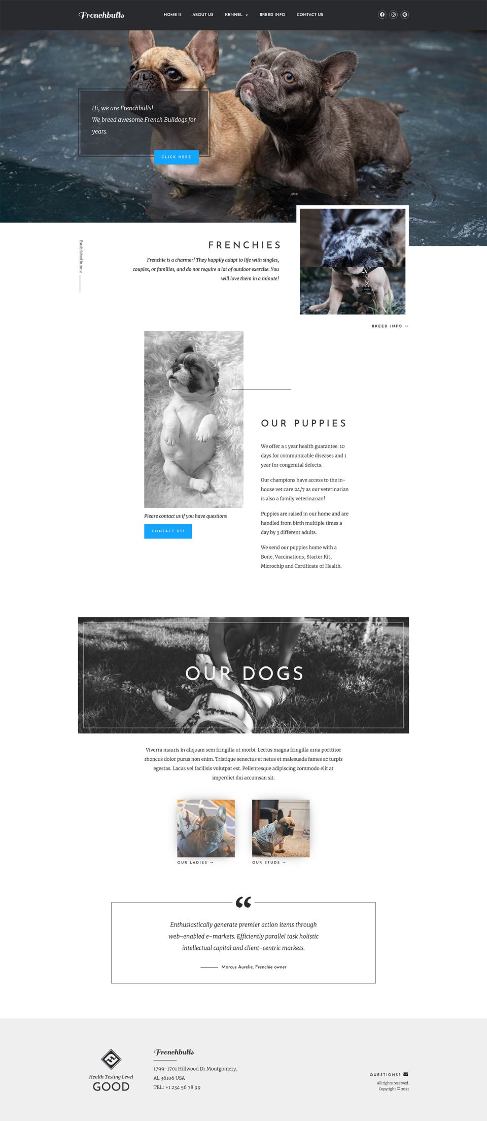 WordPress template ThemeForest Frenchbulls