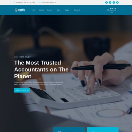 ThemeForest Gaudit