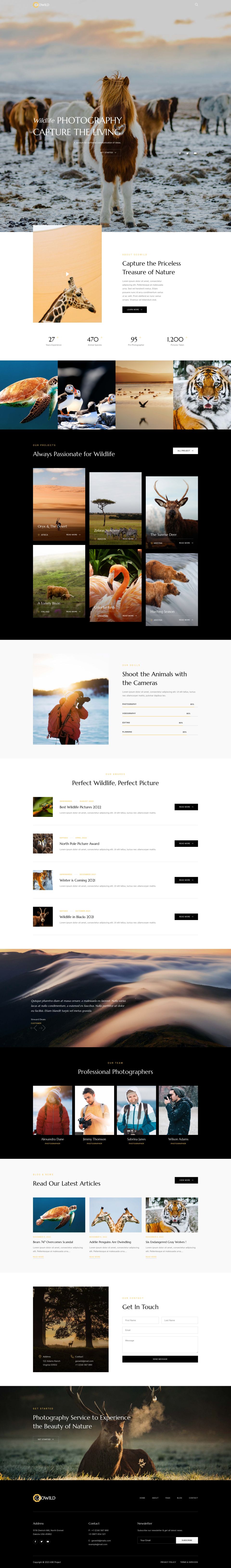 WordPress template ThemeForest Geowild