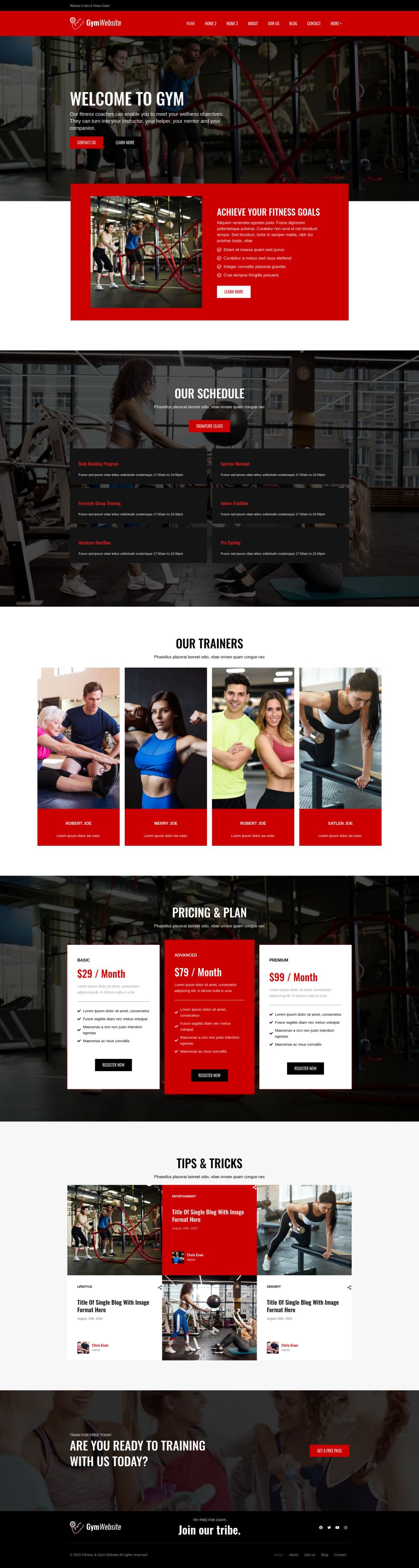 WordPress template ThemeForest Gymsite