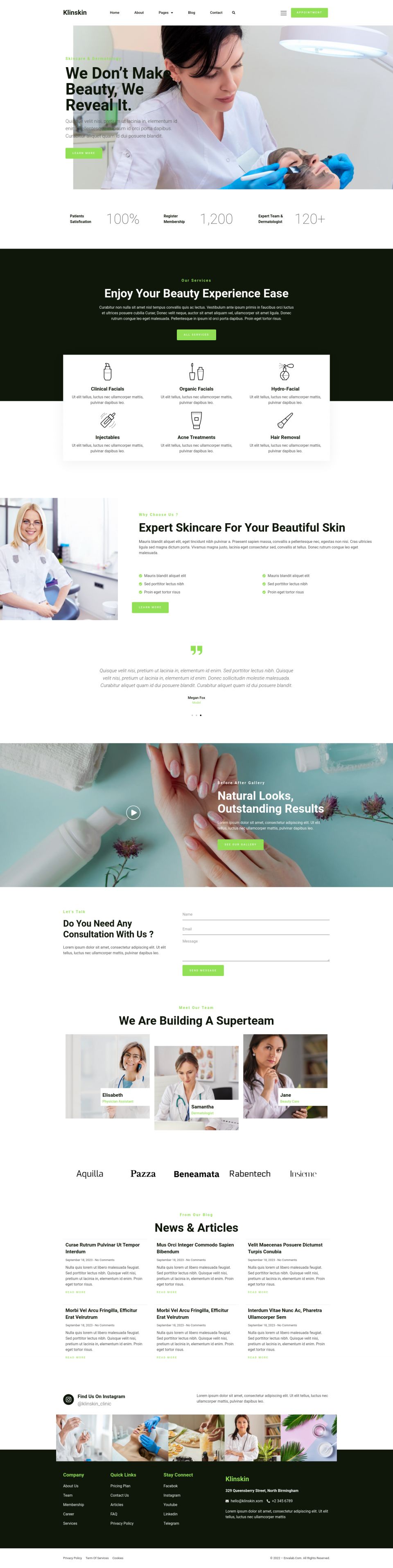 WordPress template ThemeForest Klinskin