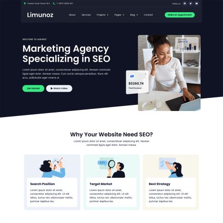 ThemeForest Limunoz