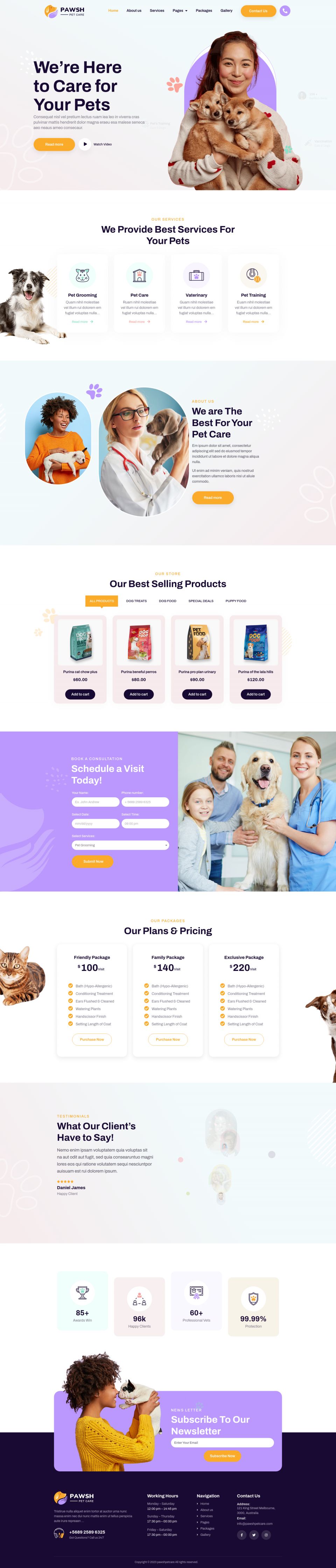 WordPress template ThemeForest Pawsh