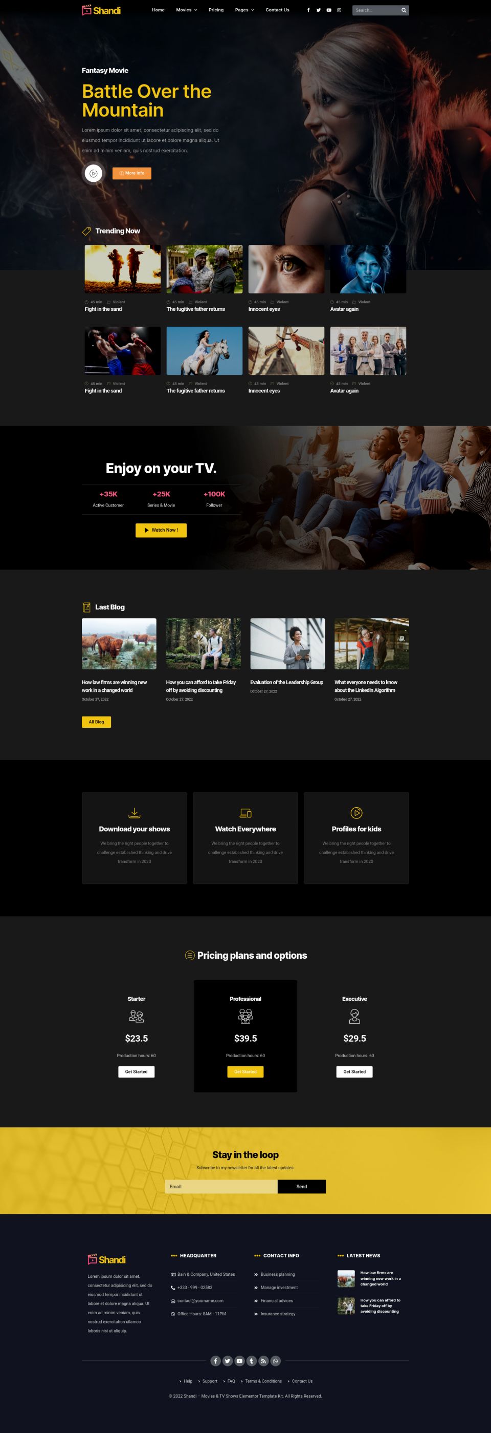 WordPress template ThemeForest Shandi