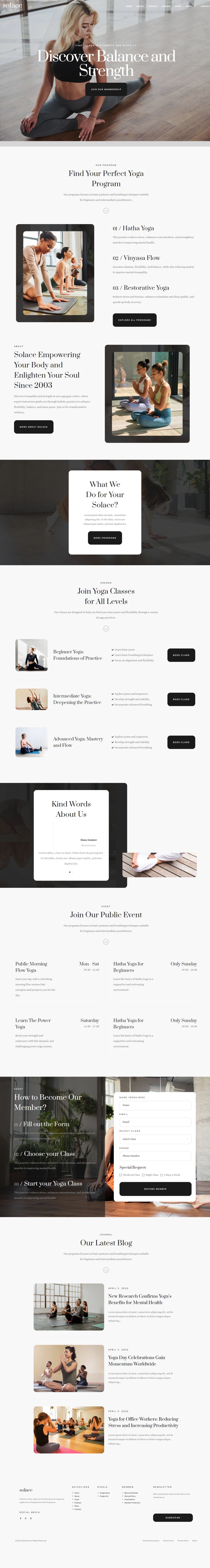 WordPress template ThemeForest Solace