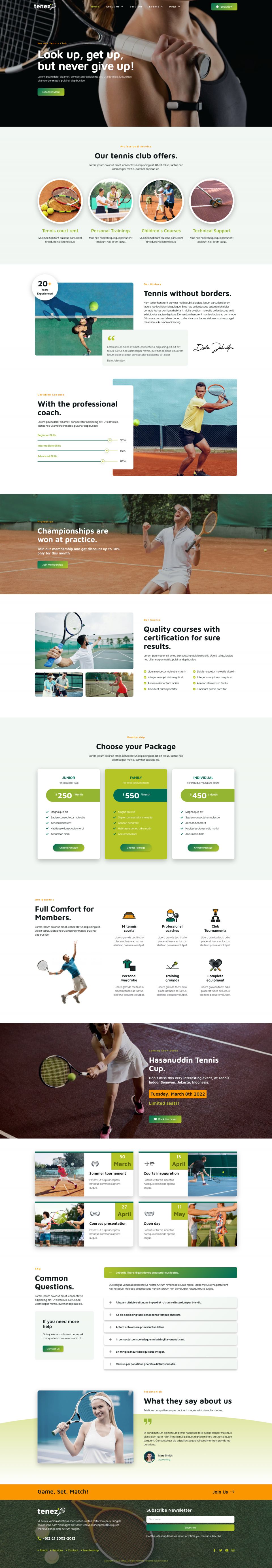 WordPress template ThemeForest Tenez