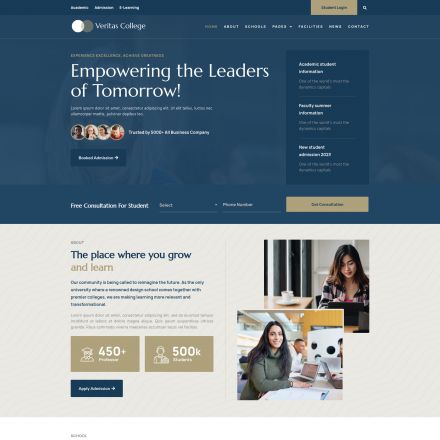 ThemeForest Veritas