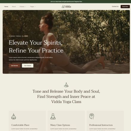 ThemeForest Vidda