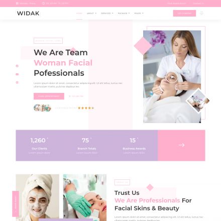 ThemeForest Widak