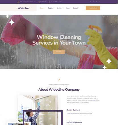 ThemeForest Widocline