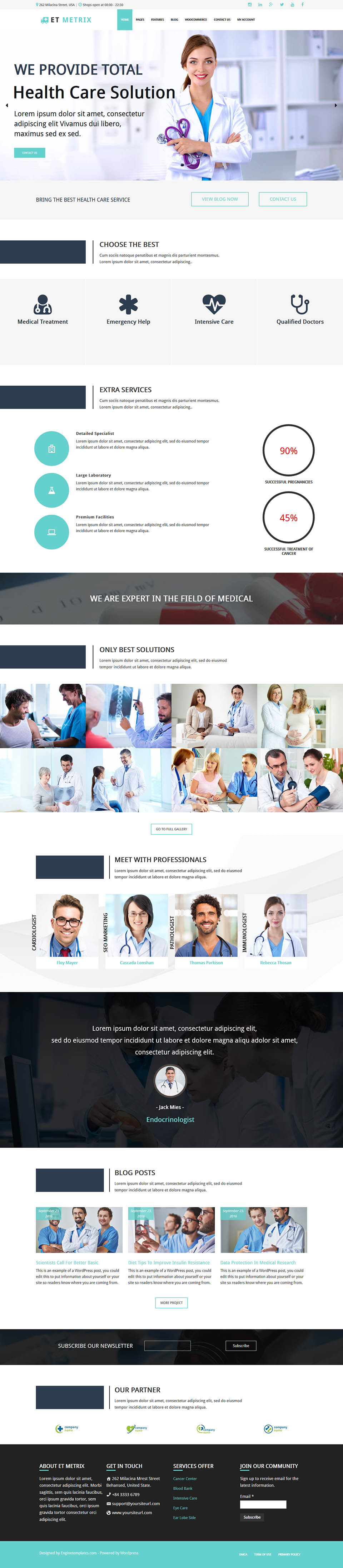 WordPress template EngineTemplates Metrix