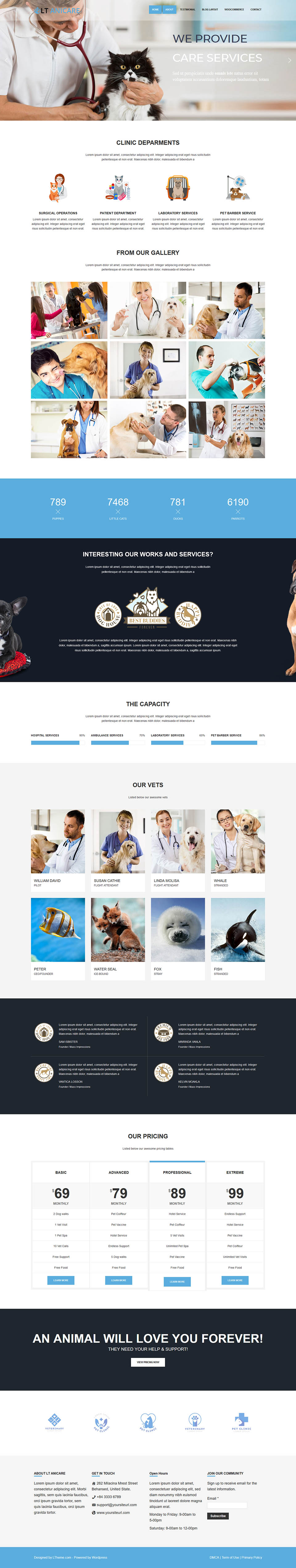 WordPress template LTheme Anicare Onepage