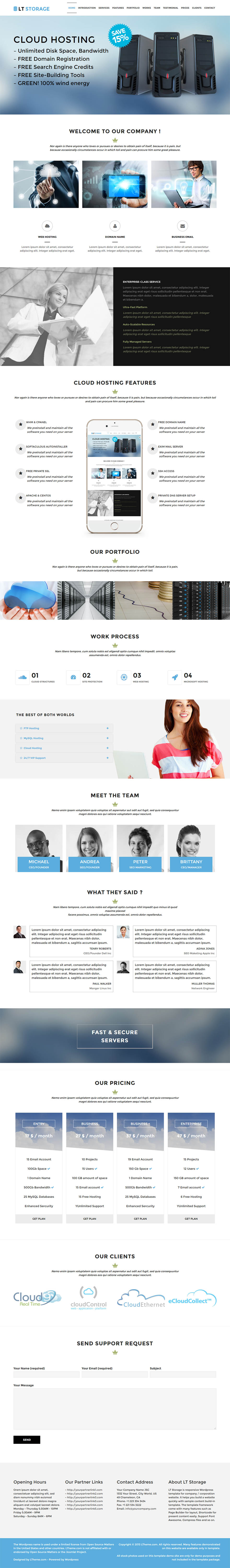 WordPress template LTheme Storage Onepage