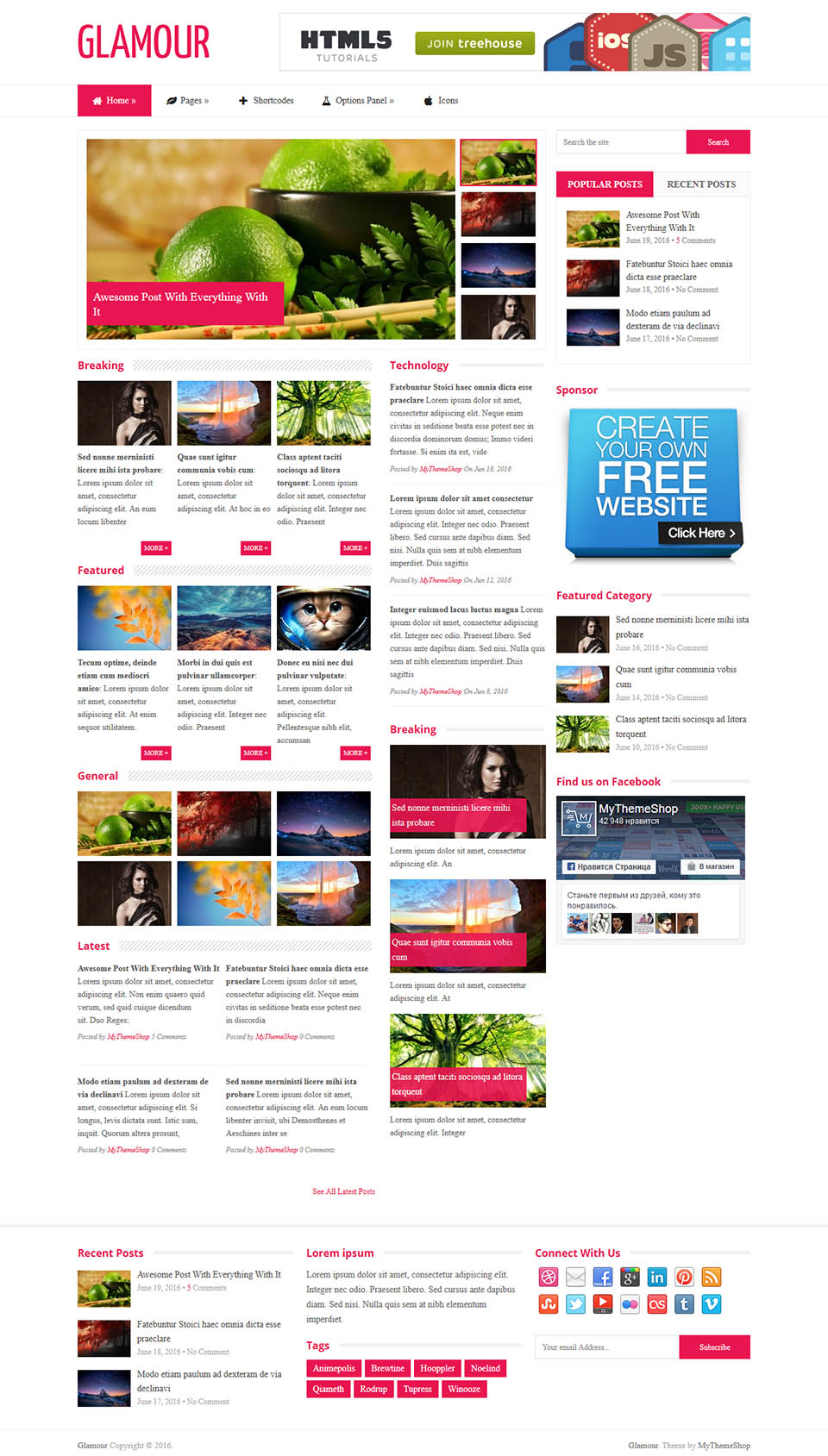 WordPress template MyThemeShop Glamour