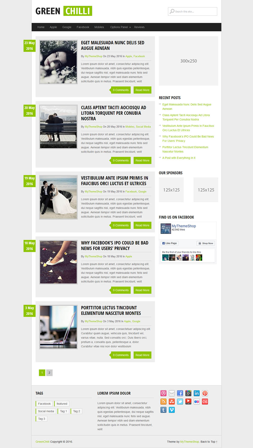 WordPress template MyThemeShop GreenChilli