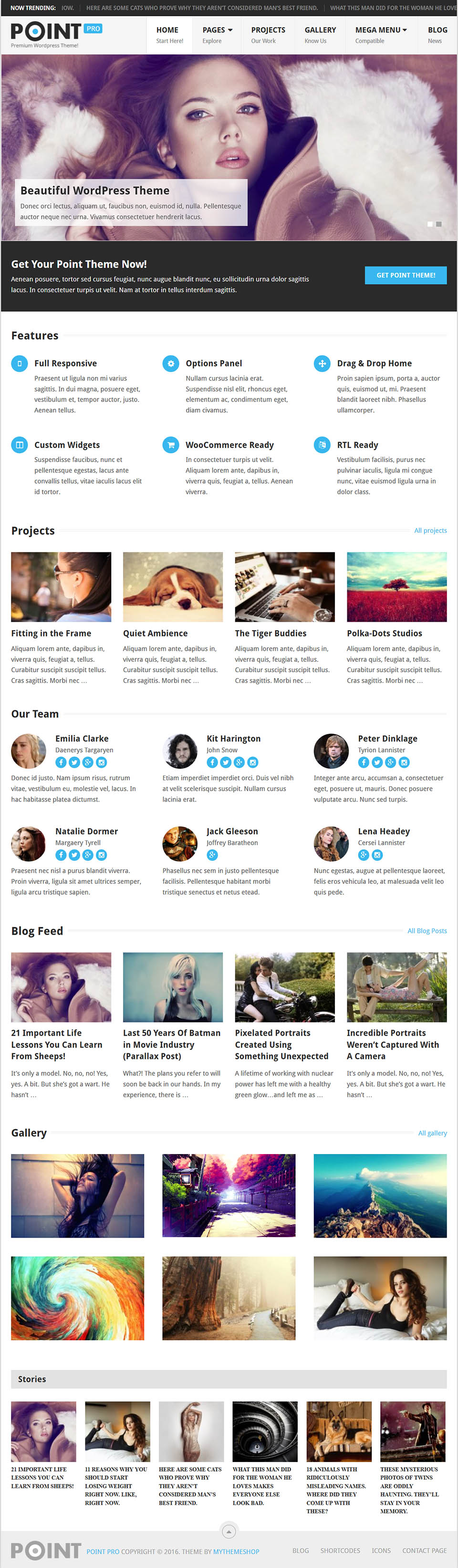 WordPress template MyThemeShop PointPro