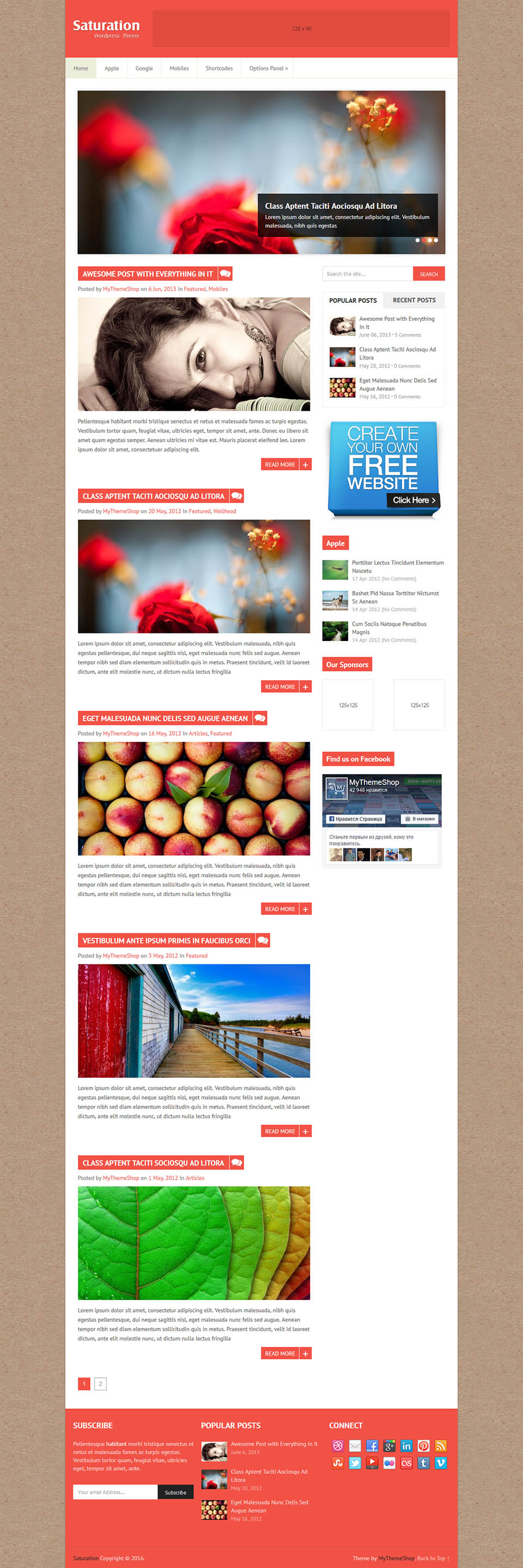 WordPress template MyThemeShop Saturation