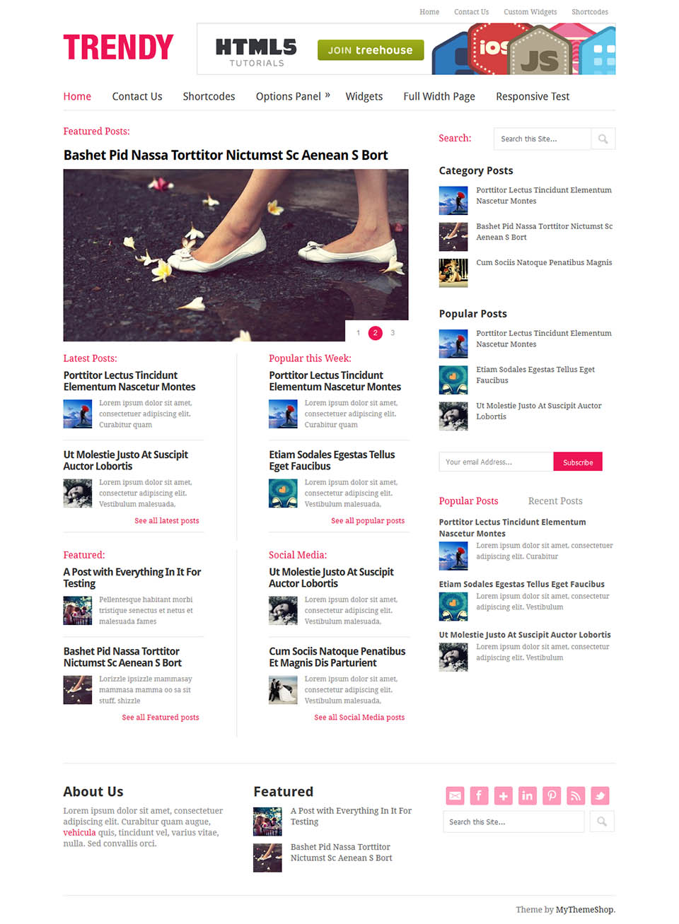 WordPress template MyThemeShop Trendy