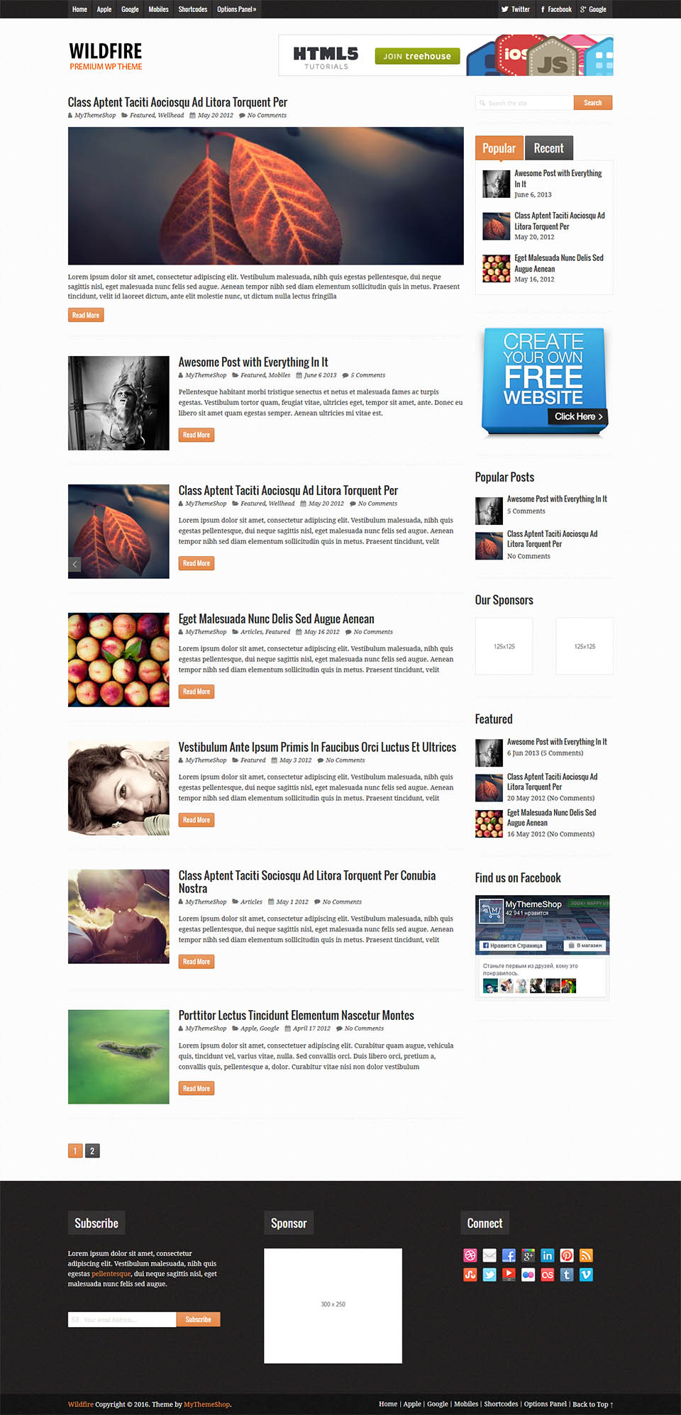 WordPress template MyThemeShop Wildfire