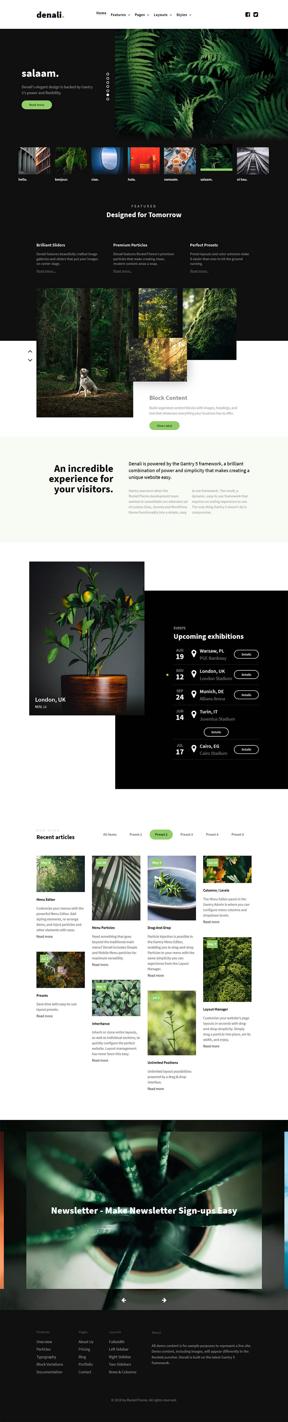 WordPress template RocketTheme Denali