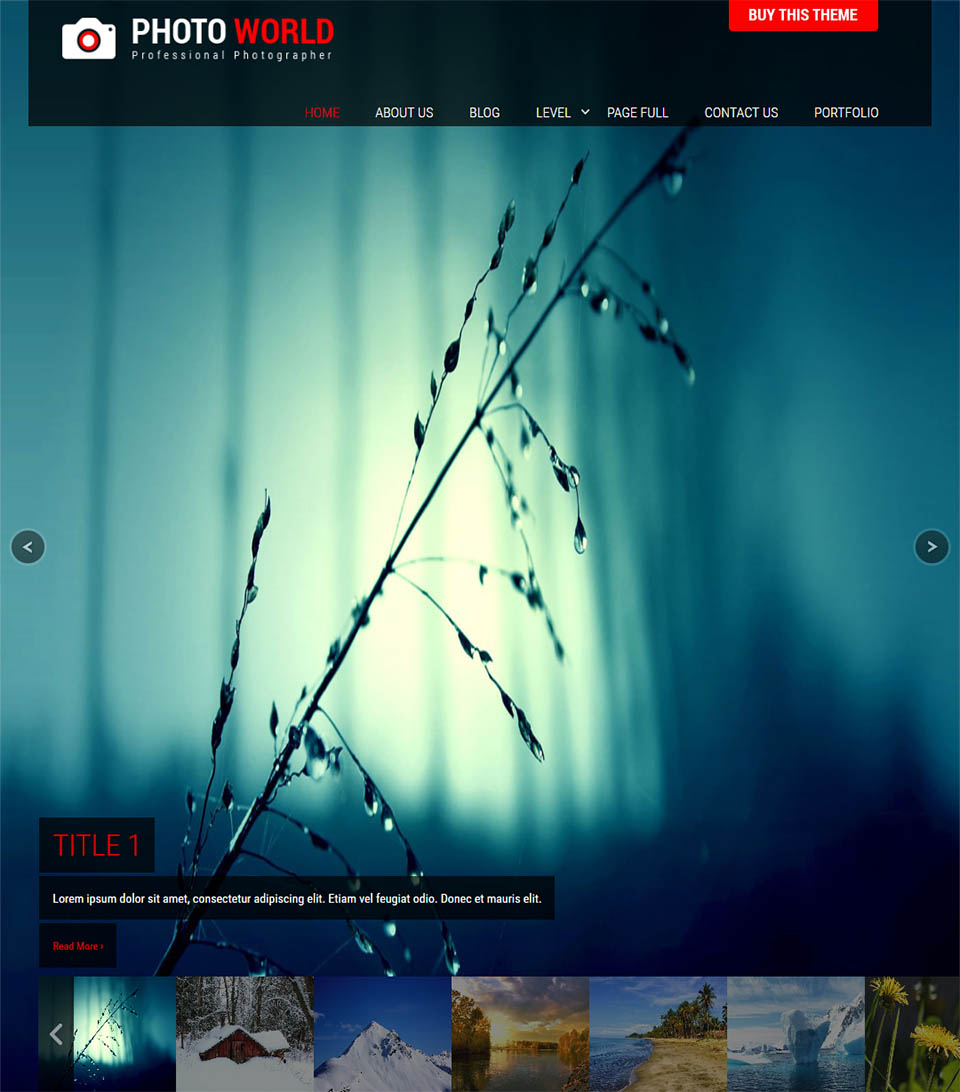 WordPress template SKT Themes Photo World Pro