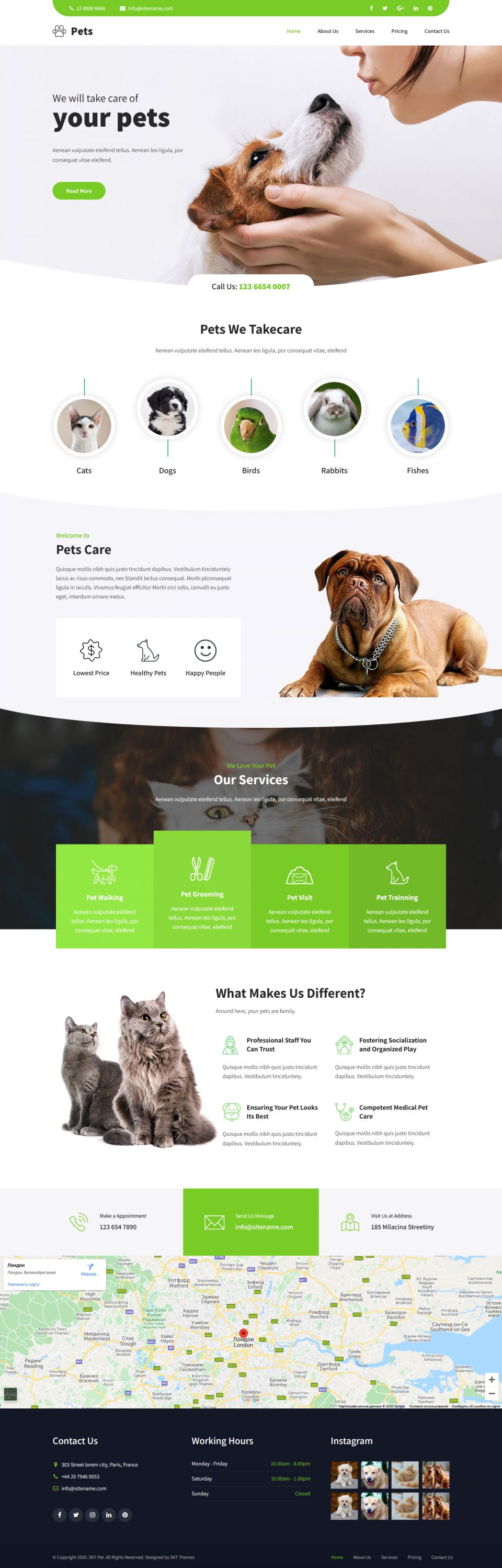 WordPress template SKT Themes Ele Pet