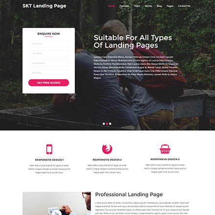 SKT Themes Landing Page