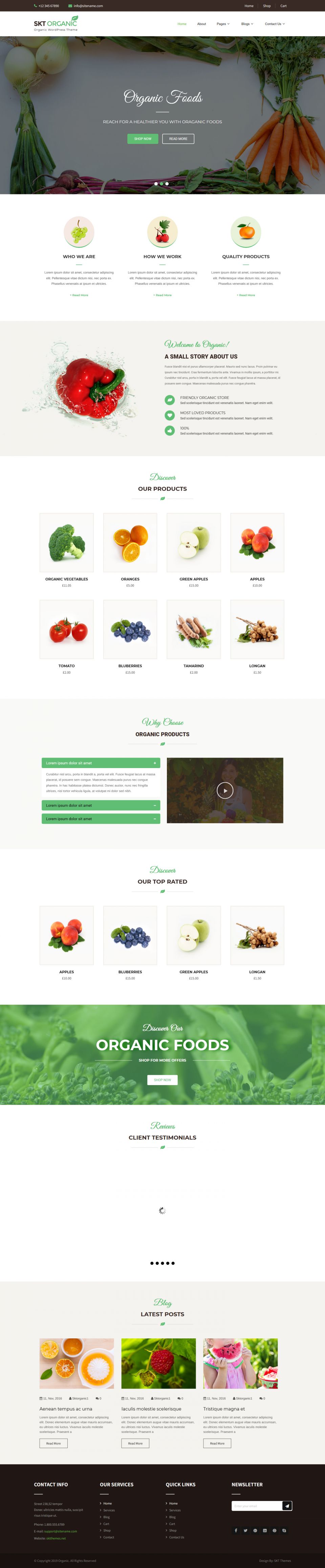 WordPress template SKT Themes Organic