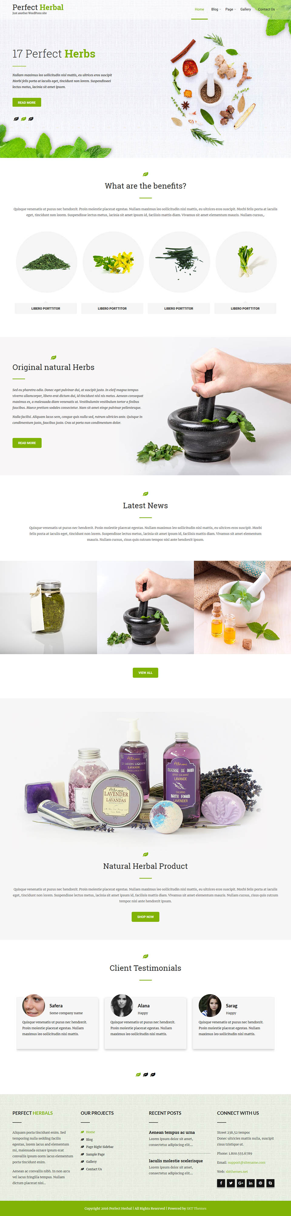 WordPress template SKT Themes Perfect Herbal