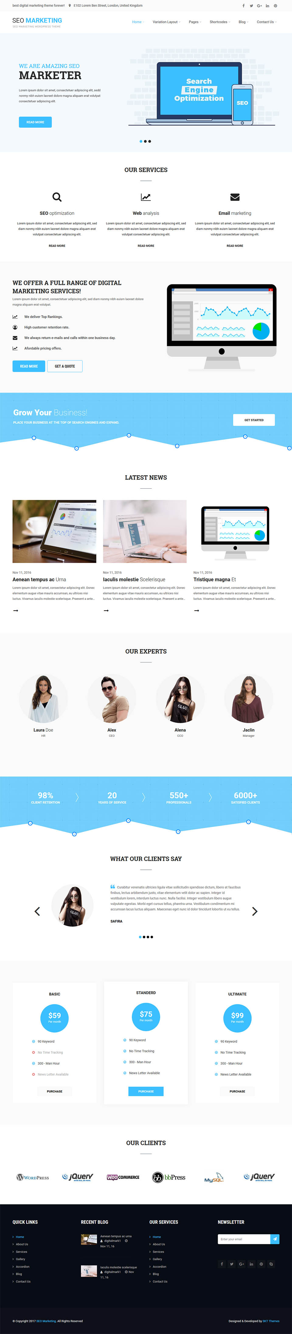 WordPress template SKT Themes SEO