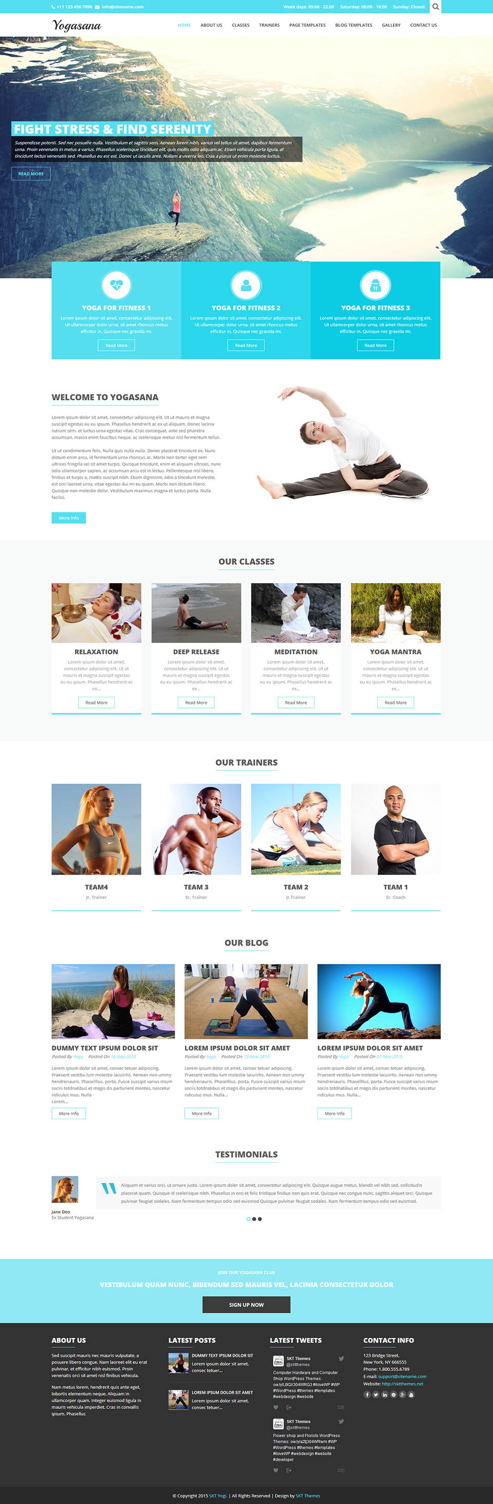 WordPress template SKT Themes Yogi Pro