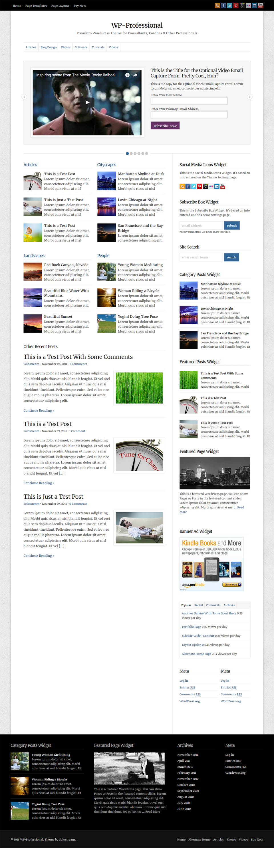 WordPress template SoloStream WP-Professional