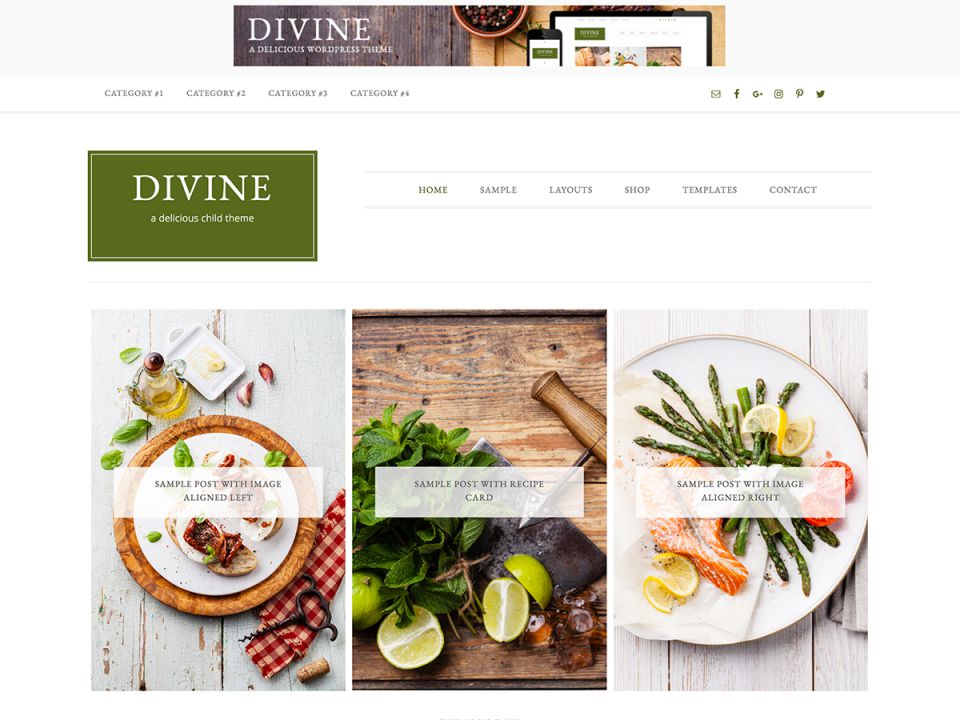 WordPress template StudioPress Divine