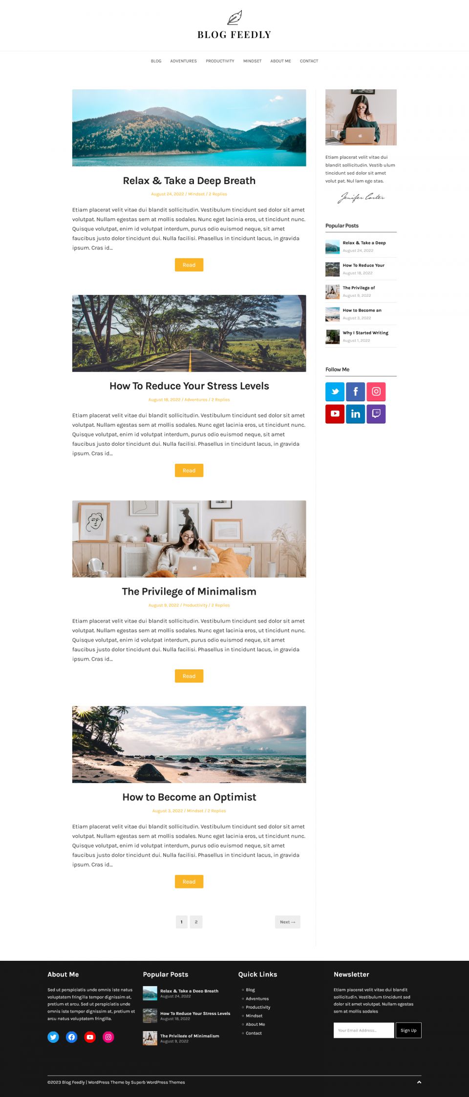 WordPress template Superb Themes Blog Feedly