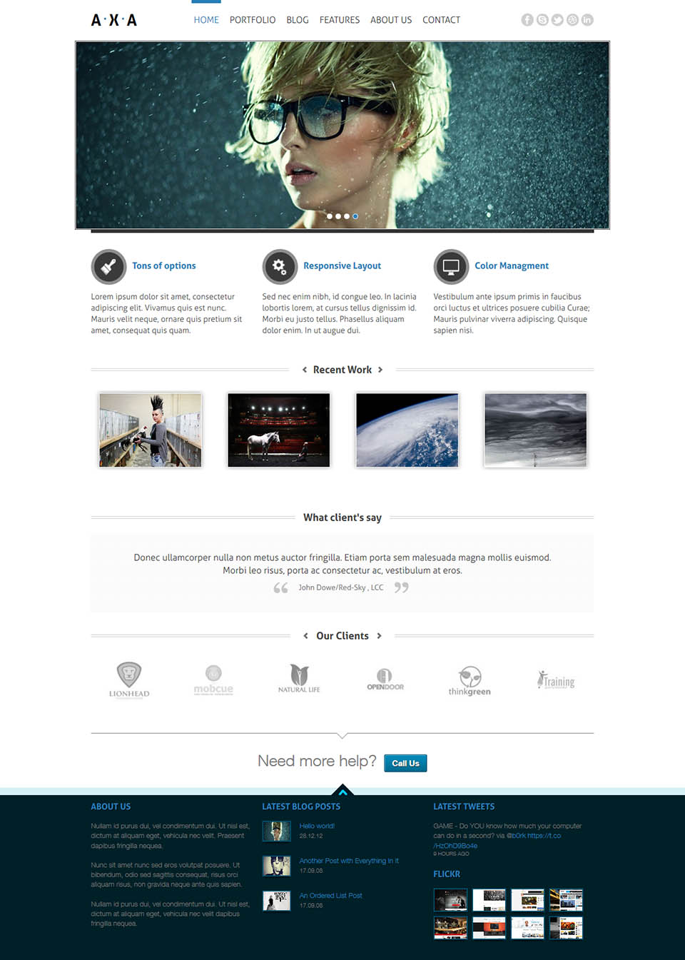 WordPress template TeslaThemes AXA