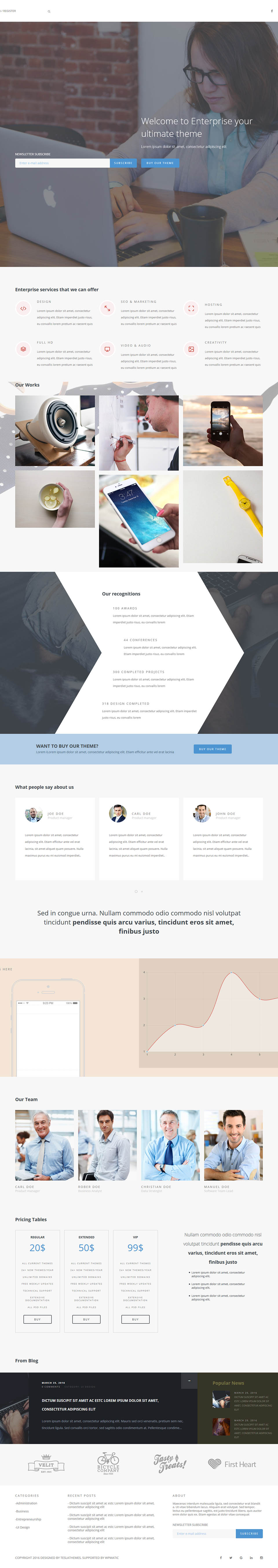 WordPress template TeslaThemes Enterprise