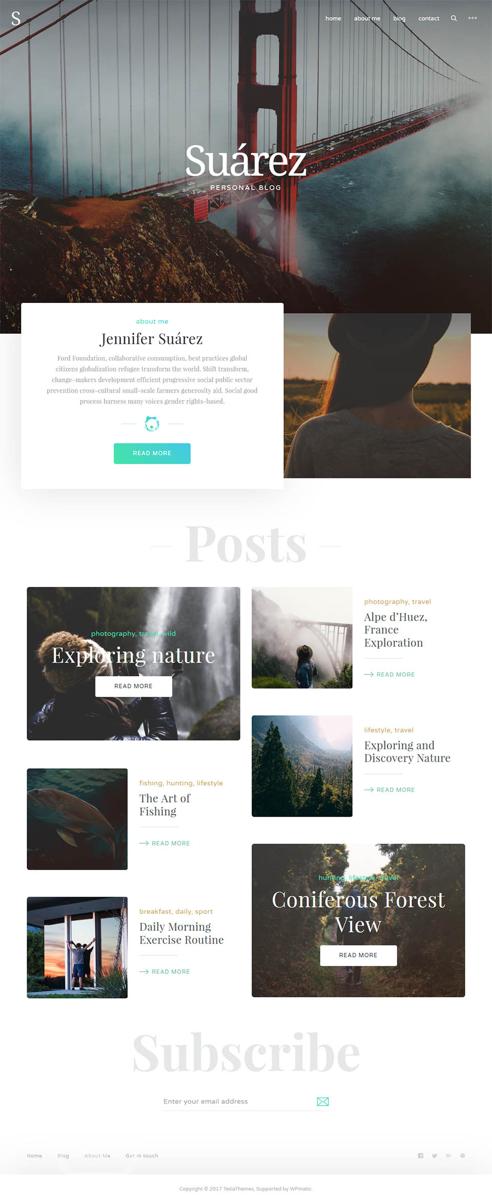 WordPress template TeslaThemes Suarez