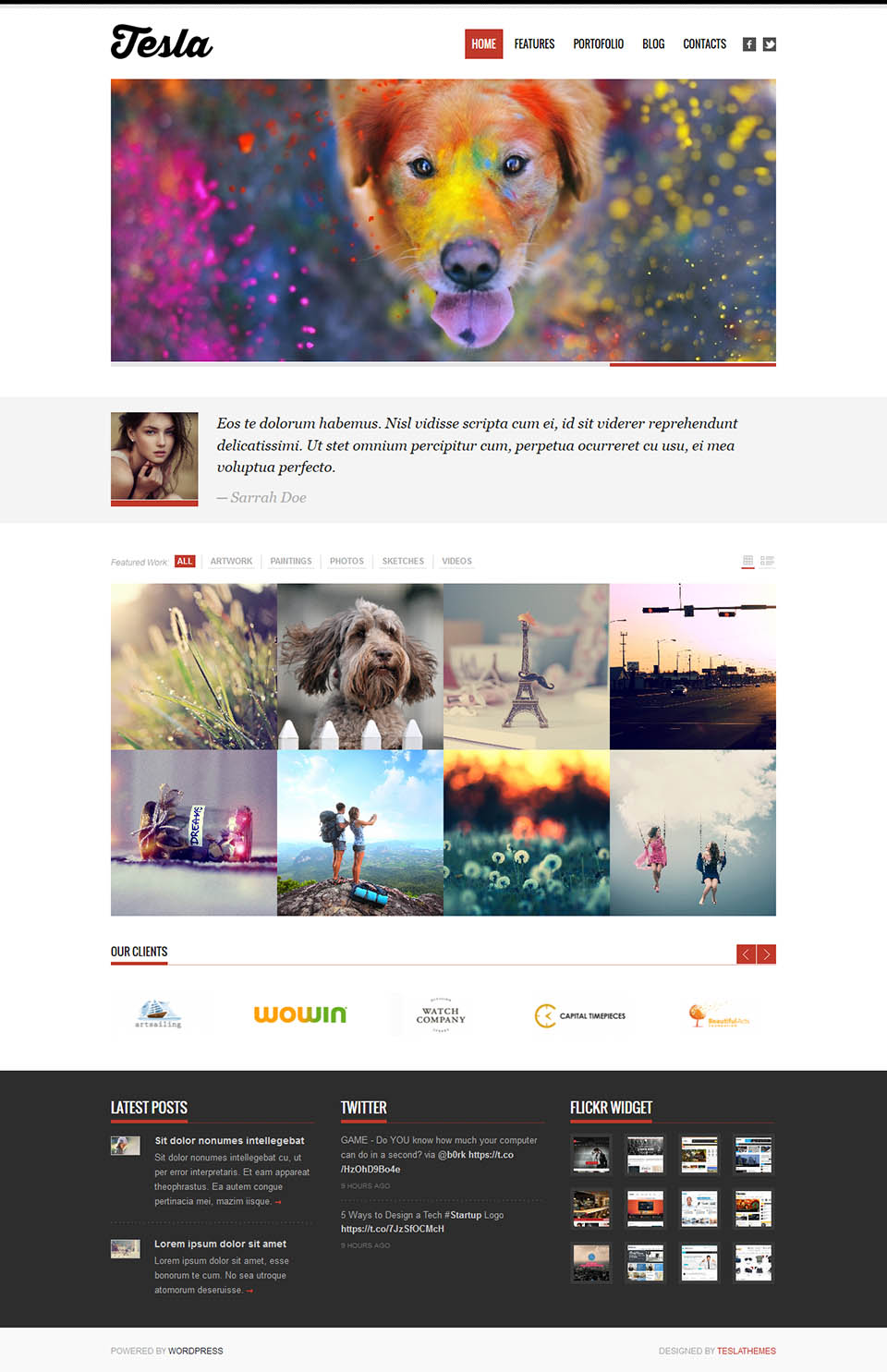 WordPress template TeslaThemes Tesla