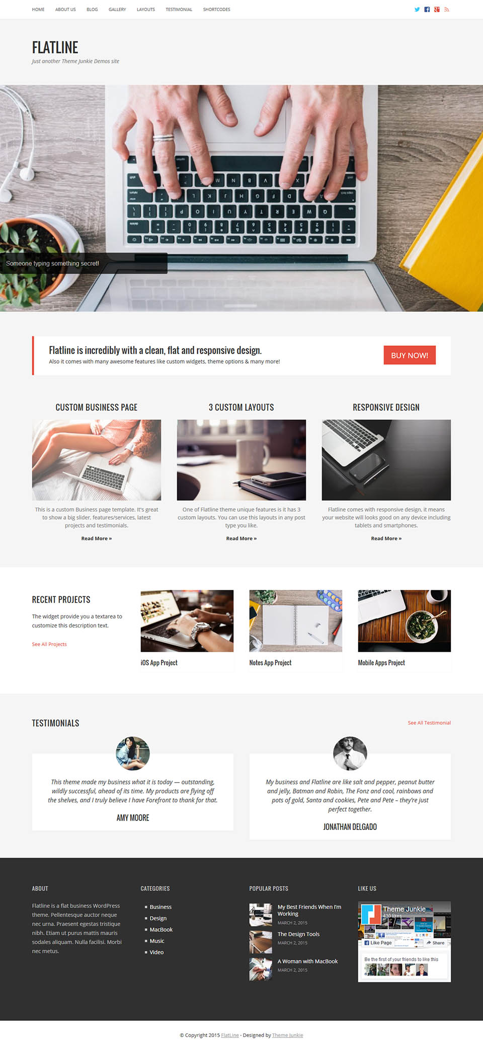 WordPress template Theme Junkie FlatLine