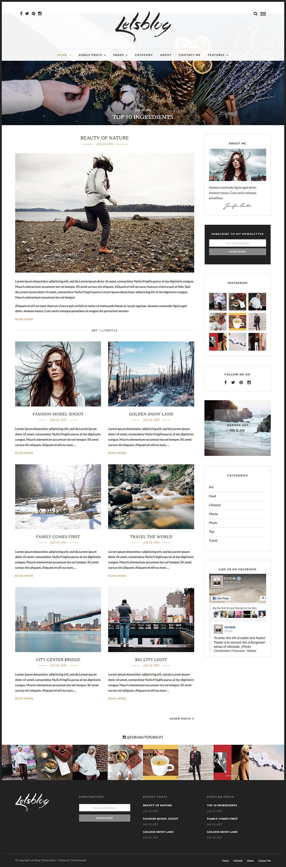 WordPress template ThemeForest Lets Blog