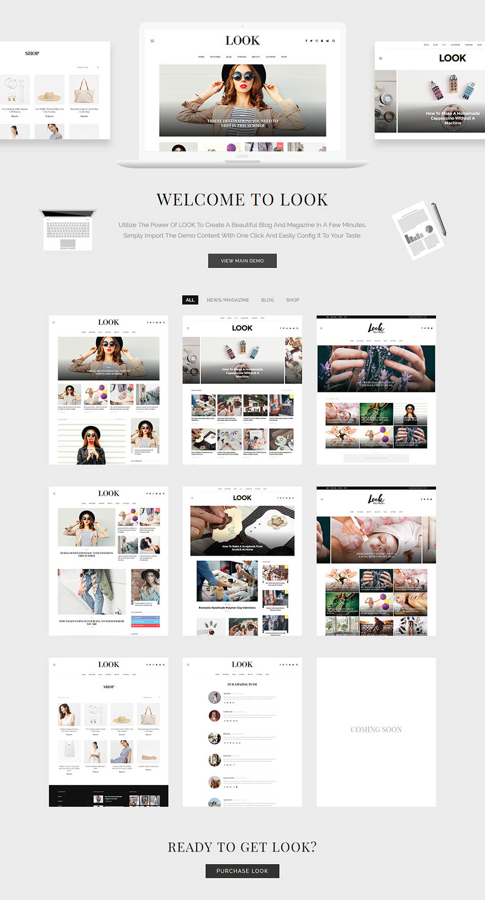 WordPress template ThemeForest Look