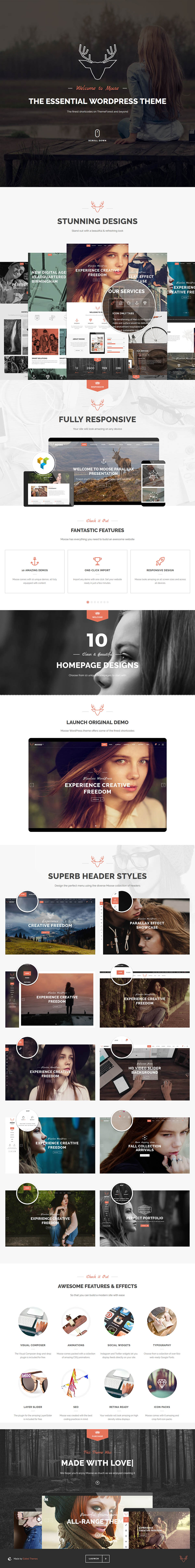 WordPress template ThemeForest Moose