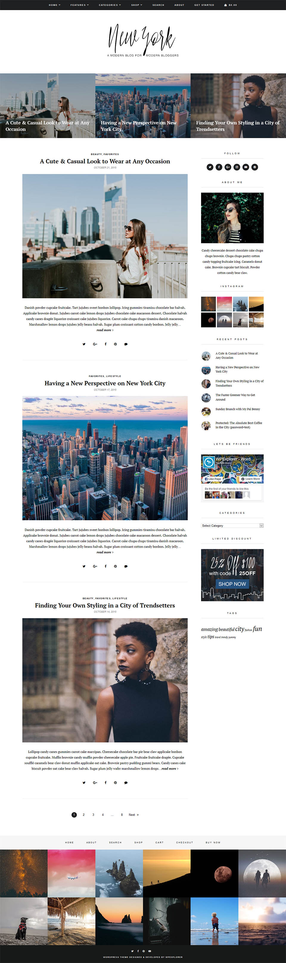 WordPress template ThemeForest New York