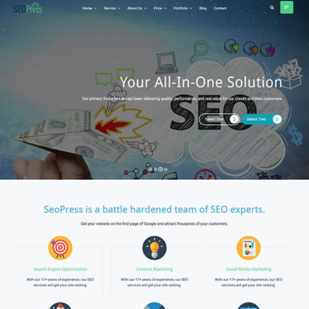 ThemeForest SeoPress