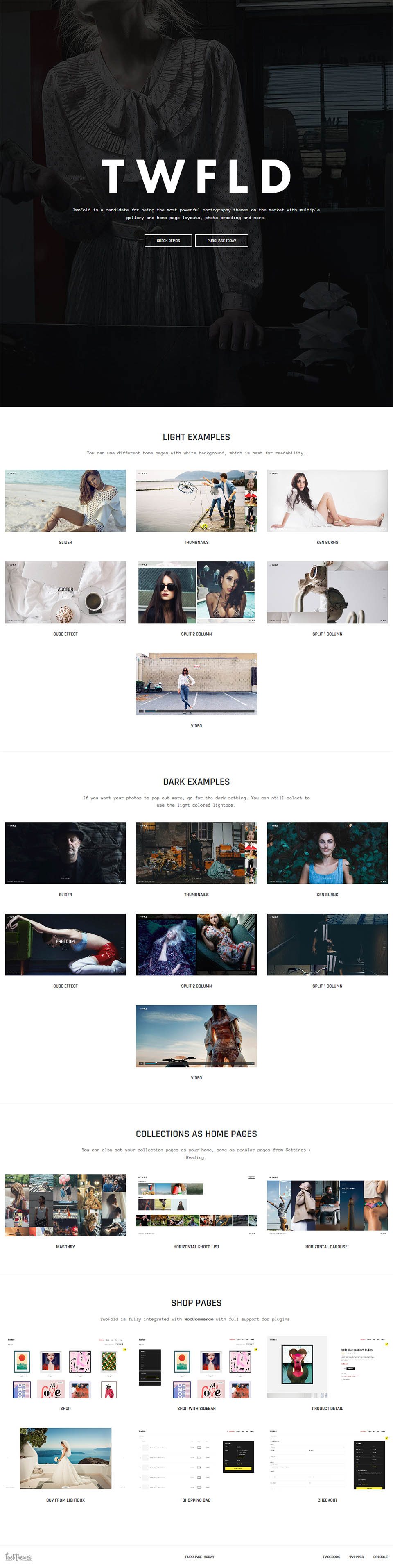 WordPress template ThemeForest TwoFold